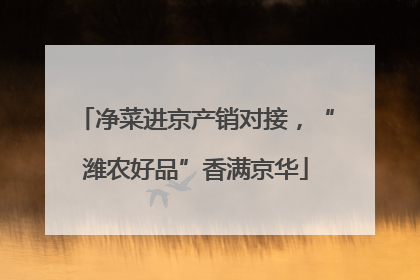 净菜进京产销对接，“潍农好品”香满京华