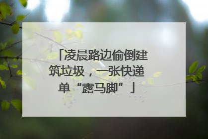 凌晨路边偷倒建筑垃圾，一张快递单“露马脚”