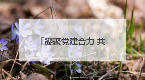 凝聚党建合力 共享优势资源│南宁普瑞眼科携手南宁轨道运营公司开启党建共建新篇章