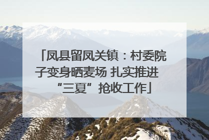 凤县留凤关镇：村委院子变身晒麦场 扎实推进“三夏”抢收工作