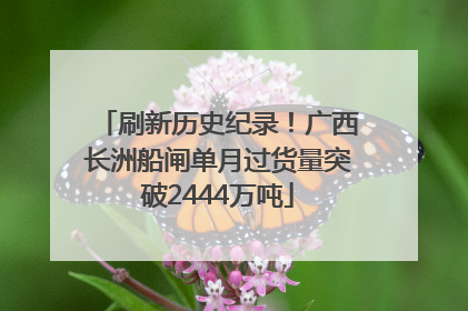 刷新历史纪录！广西长洲船闸单月过货量突破2444万吨