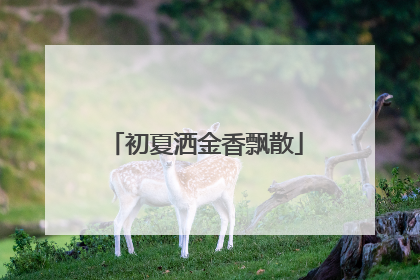 初夏洒金香飘散