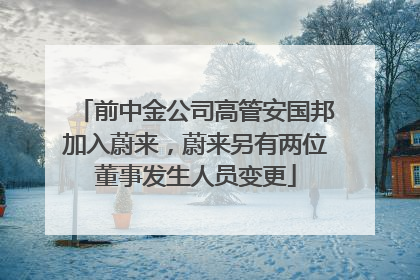 前中金公司高管安国邦加入蔚来，蔚来另有两位董事发生人员变更