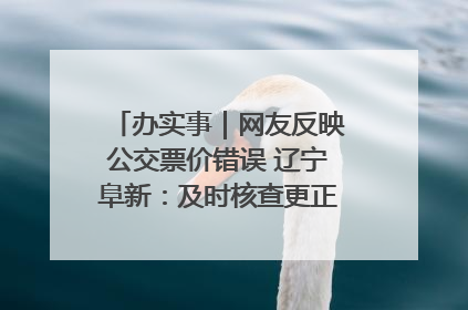 办实事｜网友反映公交票价错误 辽宁阜新：及时核查更正 加强实时巡检