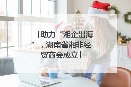 助力“湘企出海”，湖南省湘非经贸商会成立
