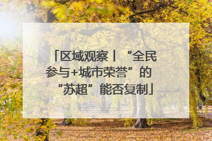 区域观察丨“全民参与+城市荣誉”的“苏超”能否复制