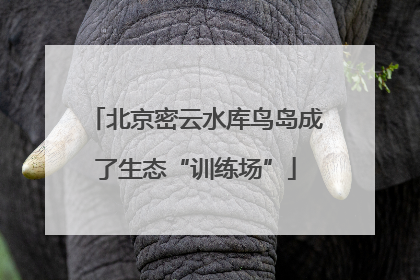 北京密云水库鸟岛成了生态“训练场”