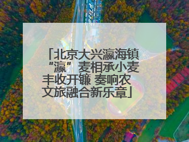 北京大兴瀛海镇“瀛”麦相承小麦丰收开镰 奏响农文旅融合新乐章