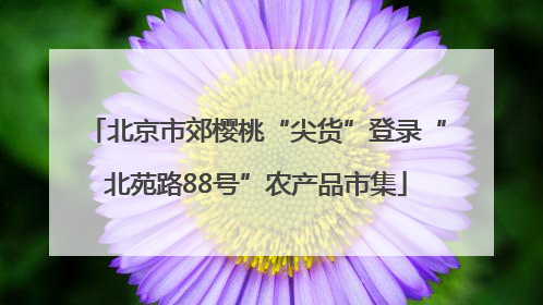 北京市郊樱桃“尖货”登录“北苑路88号”农产品市集