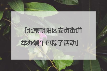 北京朝阳区安贞街道举办端午包粽子活动