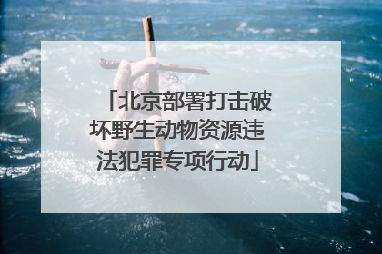 北京部署打击破坏野生动物资源违法犯罪专项行动
