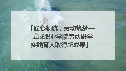 匠心领航，劳动筑梦——武威职业学院劳动研学实践育人取得新成果