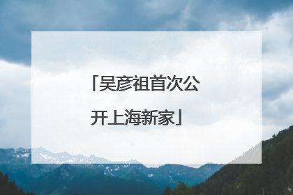 吴彦祖首次公开上海新家