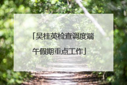 吴桂英检查调度端午假期重点工作