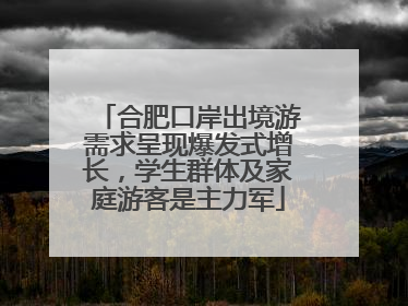 合肥口岸出境游需求呈现爆发式增长，学生群体及家庭游客是主力军