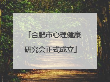 合肥市心理健康研究会正式成立
