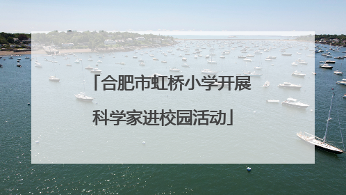 合肥市虹桥小学开展科学家进校园活动