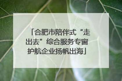 合肥市陪伴式“走出去”综合服务专窗护航企业扬帆出海
