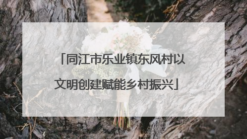 同江市乐业镇东风村以文明创建赋能乡村振兴