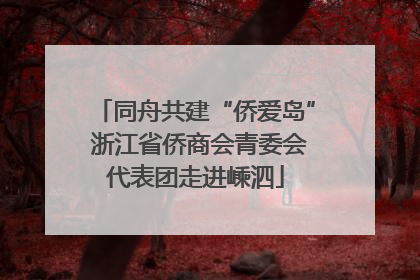 同舟共建“侨爱岛” 浙江省侨商会青委会代表团走进嵊泗
