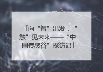 向“智”出发，“触”见未来——“中国传感谷”探访记