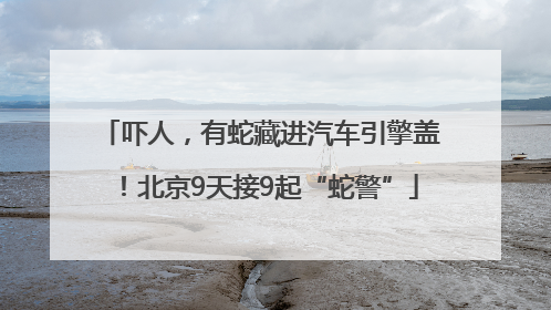 吓人，有蛇藏进汽车引擎盖！北京9天接9起“蛇警”