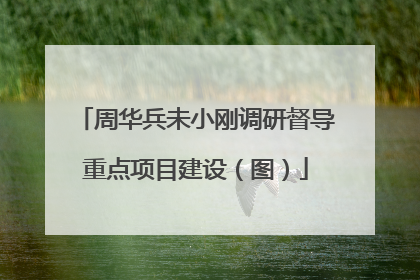 周华兵未小刚调研督导重点项目建设（图）
