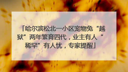 哈尔滨松北一小区宠物兔“越狱”两年繁育四代，业主有人“稀罕”有人忧，专家提醒