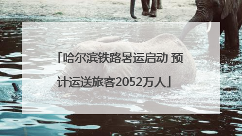 哈尔滨铁路暑运启动 预计运送旅客2052万人