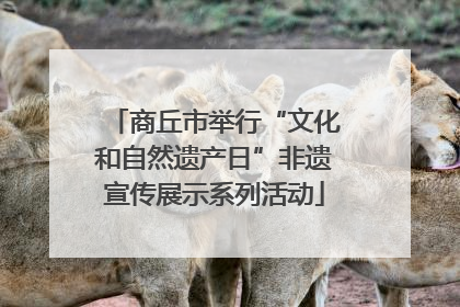 商丘市举行“文化和自然遗产日”非遗宣传展示系列活动