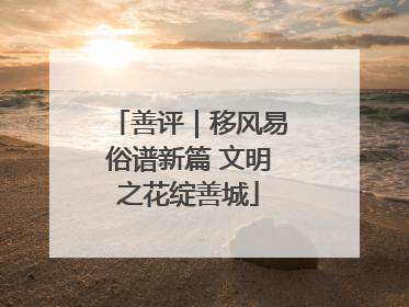 善评｜移风易俗谱新篇 文明之花绽善城