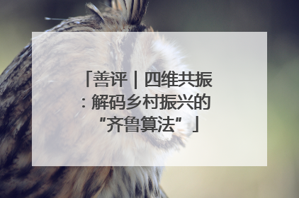 善评｜四维共振：解码乡村振兴的“齐鲁算法”