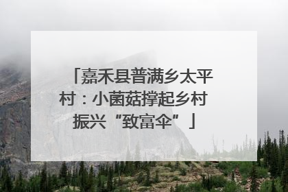 嘉禾县普满乡太平村：小菌菇撑起乡村振兴“致富伞”
