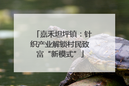 嘉禾坦坪镇：针织产业解锁村民致富“新模式”