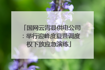 国网云霄县供电公司：举行迎峰度夏暨调度权下放应急演练