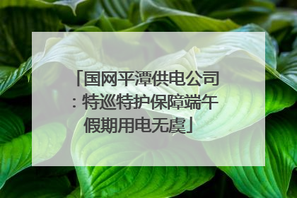 国网平潭供电公司：特巡特护保障端午假期用电无虞