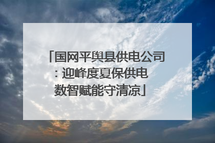 国网平舆县供电公司：迎峰度夏保供电  数智赋能守清凉