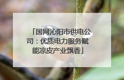 国网沁阳市供电公司：优质电力服务赋能凉皮产业飘香