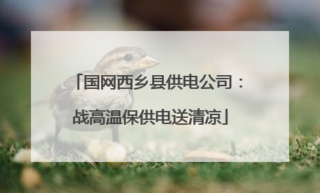国网西乡县供电公司：战高温保供电送清凉