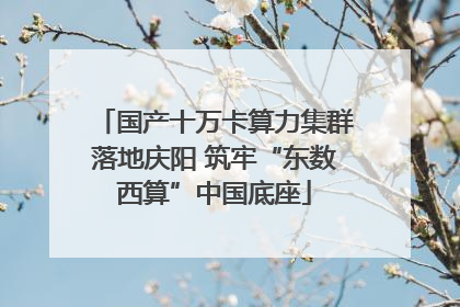 国产十万卡算力集群落地庆阳 筑牢“东数西算”中国底座