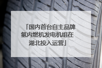 国内首台自主品牌氢内燃机发电机组在湖北投入运营