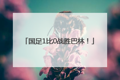 国足1比0战胜巴林！