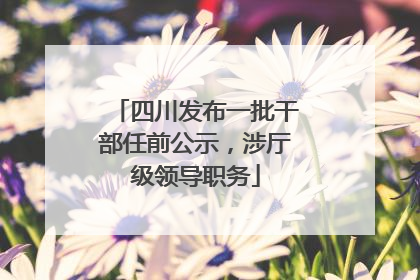 四川发布一批干部任前公示，涉厅级领导职务