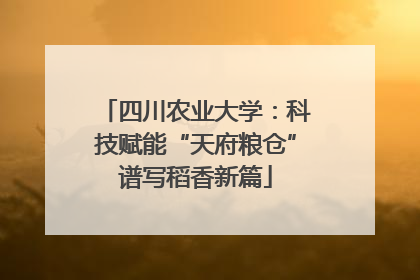 四川农业大学：科技赋能“天府粮仓”谱写稻香新篇