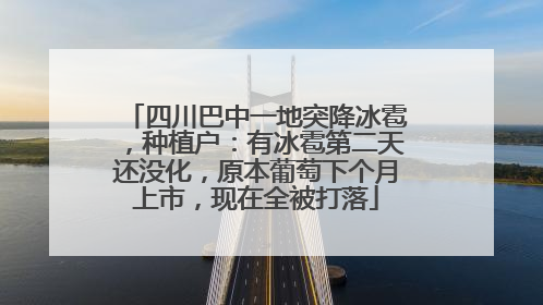 四川巴中一地突降冰雹，种植户：有冰雹第二天还没化，原本葡萄下个月上市，现在全被打落