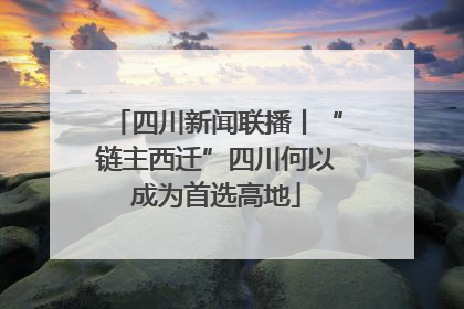 四川新闻联播丨“链主西迁”四川何以成为首选高地