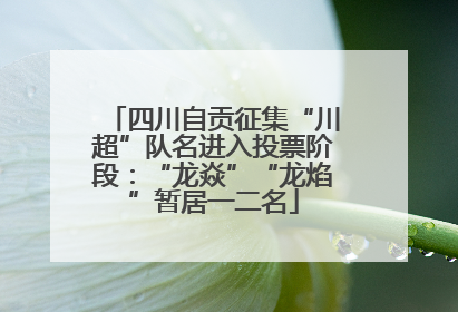 四川自贡征集“川超”队名进入投票阶段：“龙焱”“龙焰”暂居一二名