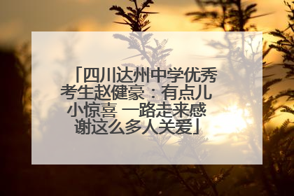 四川达州中学优秀考生赵健豪：有点儿小惊喜 一路走来感谢这么多人关爱