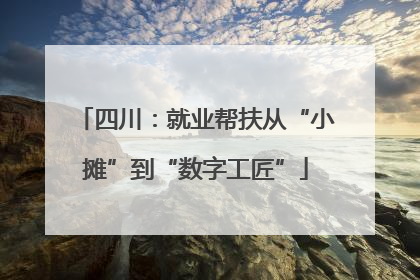 四川：就业帮扶从“小摊”到“数字工匠”