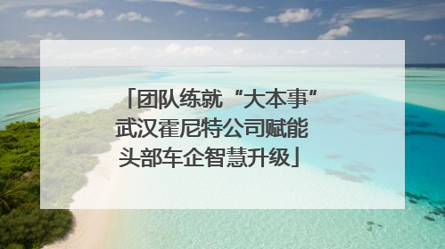 团队练就“大本事” 武汉霍尼特公司赋能头部车企智慧升级